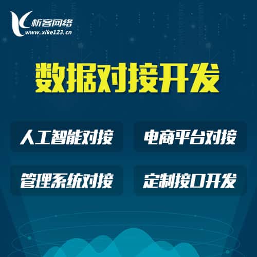 厦门智能数据对接