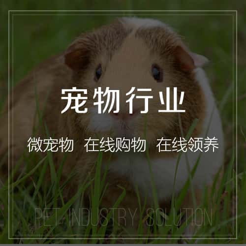 厦门宠物