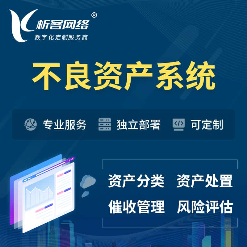 厦门不良资产管理系统
